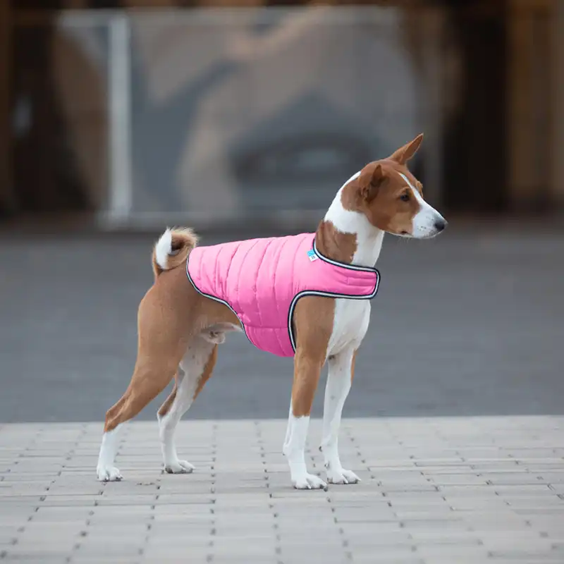 Kurtka dla psa AiryVest - obrazek 7