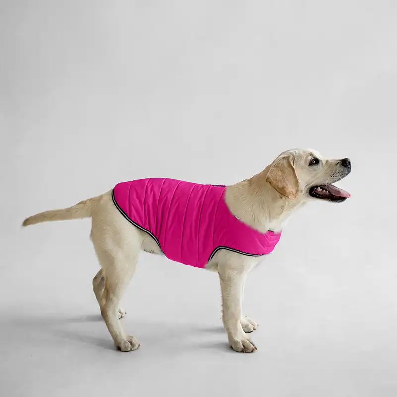 Kurtka dla psa AiryVest - obrazek 6