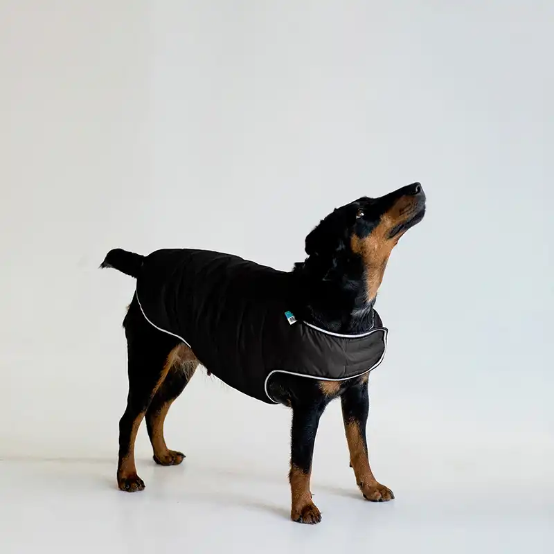 Kurtka dla psa AiryVest - obrazek 4