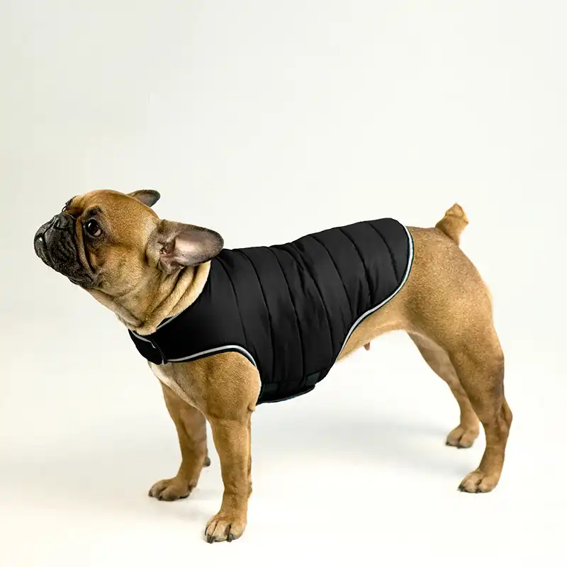 Kurtka dla psa AiryVest