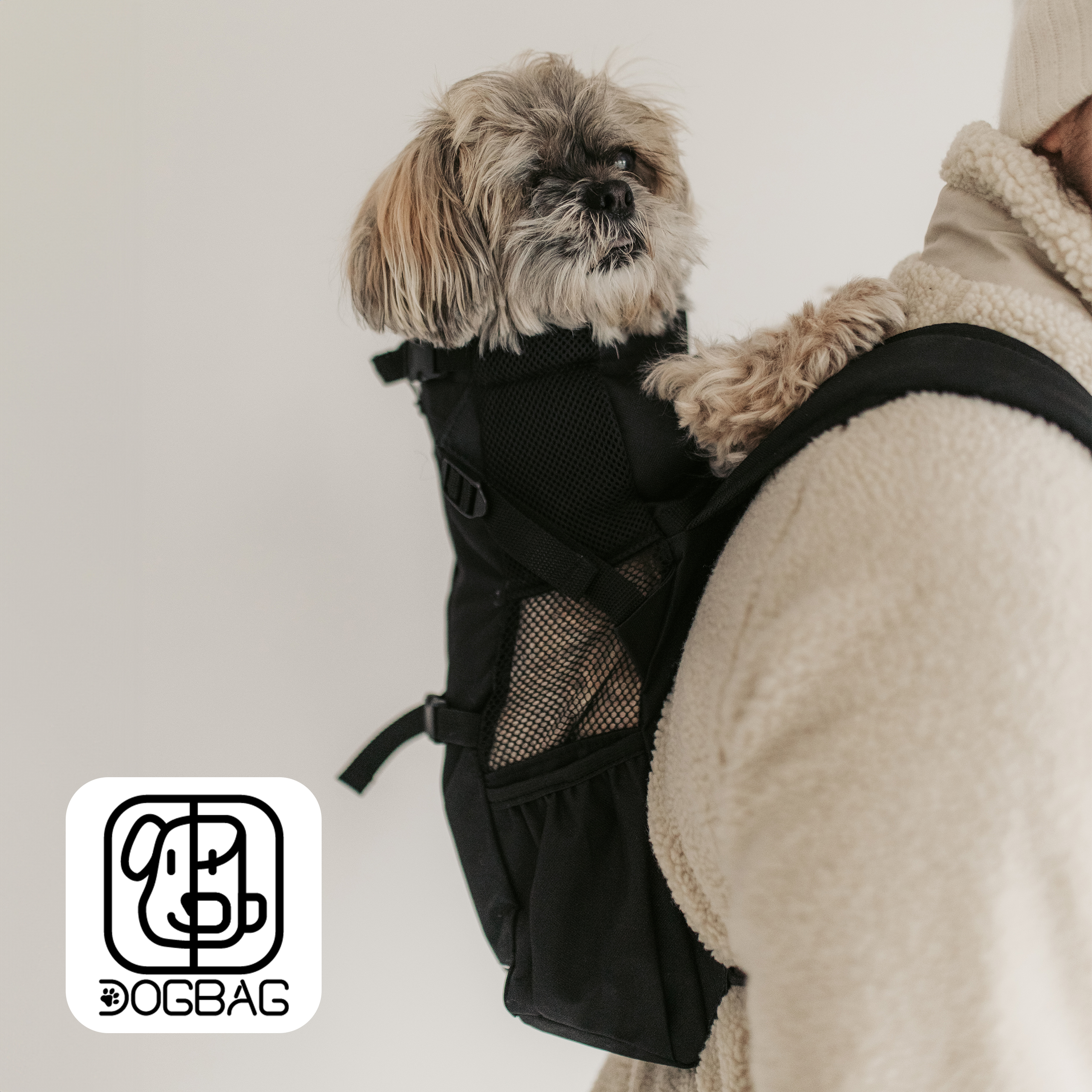 Plecak dla psa do 9 kg DOGBAG Carbon Mini