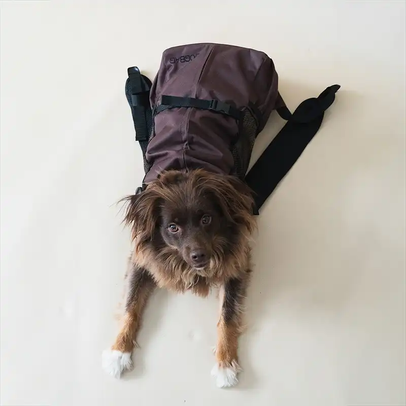 Plecak dla psa do 13 kg DOGBAG Wood Maxi - obrazek 4